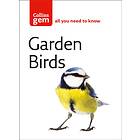 Garden Birds