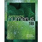 Matematik Numerus 1b