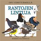 Rantojen lintuja