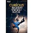 Curious Incident of the Dog in the Night-Time The