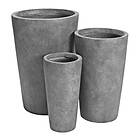 Hard Head 3-pack