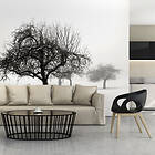 Arkiio Fototapet Winter: Trees 350x270