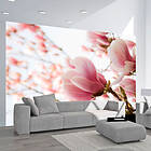 Arkiio Fototapet Rosa Magnolia magnolia 200x154