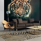 Arkiio Fototapet Bengal Tiger 350x270