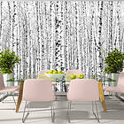Arkiio Fototapet Birch Forest forest 350x245