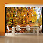 Arkiio Fototapet Beech Forest forest 350x270