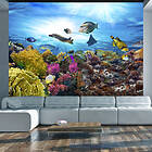 Arkiio Fototapet Coral Reef reef 300x210