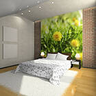 Arkiio Fototapet Dandelion Blommor blommor 350x270