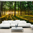 Arkiio Fototapet Mystical Morning 350x245