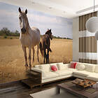 Arkiio Fototapet Horse And Foal and foal 350x270