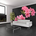 Arkiio Fototapet Azalea In Black in 350x270
