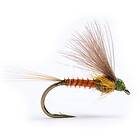 Guideline CDC Biot Dun Emerger BWO #14