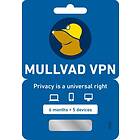 Mullvad VPN 5 Devices 6 Months