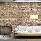 Arkiio Fototapet Urban Oasis 300x210