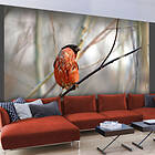 Arkiio Fototapet Bullfinch In The Forest in the forest 250x193