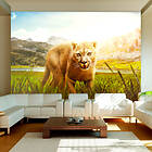 Arkiio Fototapet Watch Out! out! 300x210