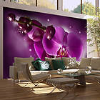 Arkiio Fototapet Fairy tale and orchid 450x270 cm