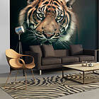 Arkiio Fototapet Bengal Tiger 300x231