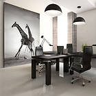 Arkiio Fototapet Giraffer 250x193