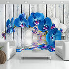 Arkiio Fototapet Cobaltic Orchid orchid 400x280