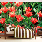 Arkiio Fototapet Painted Flowers flowers 300x231