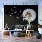 Arkiio Fototapet Vind Och Maskros och maskros 400x309