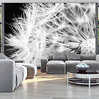 Arkiio Fototapet Black And White Dandelion and white dandelion 300x210