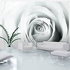 Arkiio Fototapet Rose Charade charade 300x210