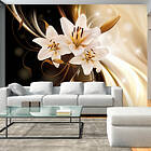 Arkiio Fototapet Circle Of Light of 400x280