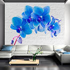 Arkiio Fototapet Blu Blue excitation 350x245