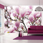 Arkiio Fototapet Magnolia Bloosom bloosom 300x231