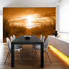 Arkiio Fototapet Beach Sepia beach (sepia) 350x245