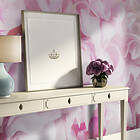 Arkiio Fototapet Azalea Pink azalea (pink) 200x154