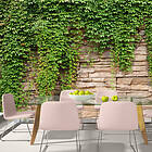 Arkiio Fototapet Ivy Wall wall 300x210