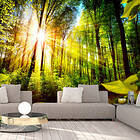 Arkiio Fototapet Forest Hideout 300x210