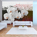Arkiio Fototapet Diary And Orchid and orchid 400x280