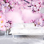Arkiio Fototapet Say Hello To Spring to 300x210