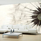 Arkiio Fototapet White Dandelion 350x245