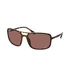 Ray-Ban RB4375 Polarized