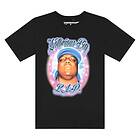 Mister Tee Biggie R.i.p