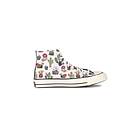 Converse Chuck 70 Succulents Canvas High Top (Unisexe)