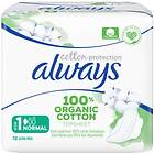 Always Cotton Normal Pads (12-pack)