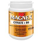 Magnex Citrate + B6 100 Tabletit