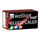 Wellion Gluco Calea Teststickor Glu