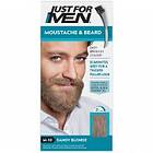 Just For Men Moustache & Beard Dye (M10 - Blonde)
