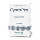 Protexin Veterinary Cystopro for Dogs 120st