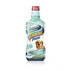 Synergy Lab Dental Fresh 473ml