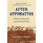 After Appomattox