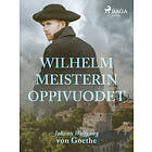 Wilhelm Meisterin oppivuodet E-bok
