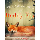 The Adventures of Reddy Fox E-bok